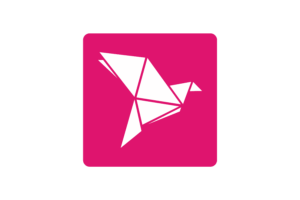 bkash icon2 logo.wine